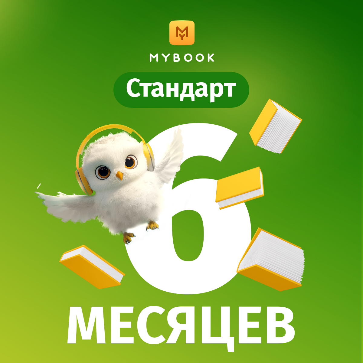 MyBook стандартная подписка на 6 месяцев